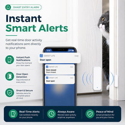 Smart Entry Alarm